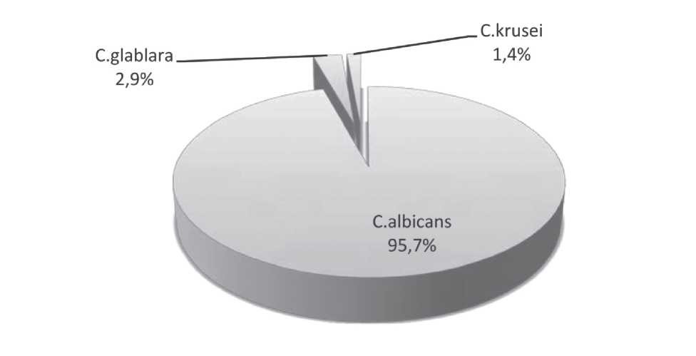 Фенотипическая изменчивость урогинекологических штаммов c.albicans