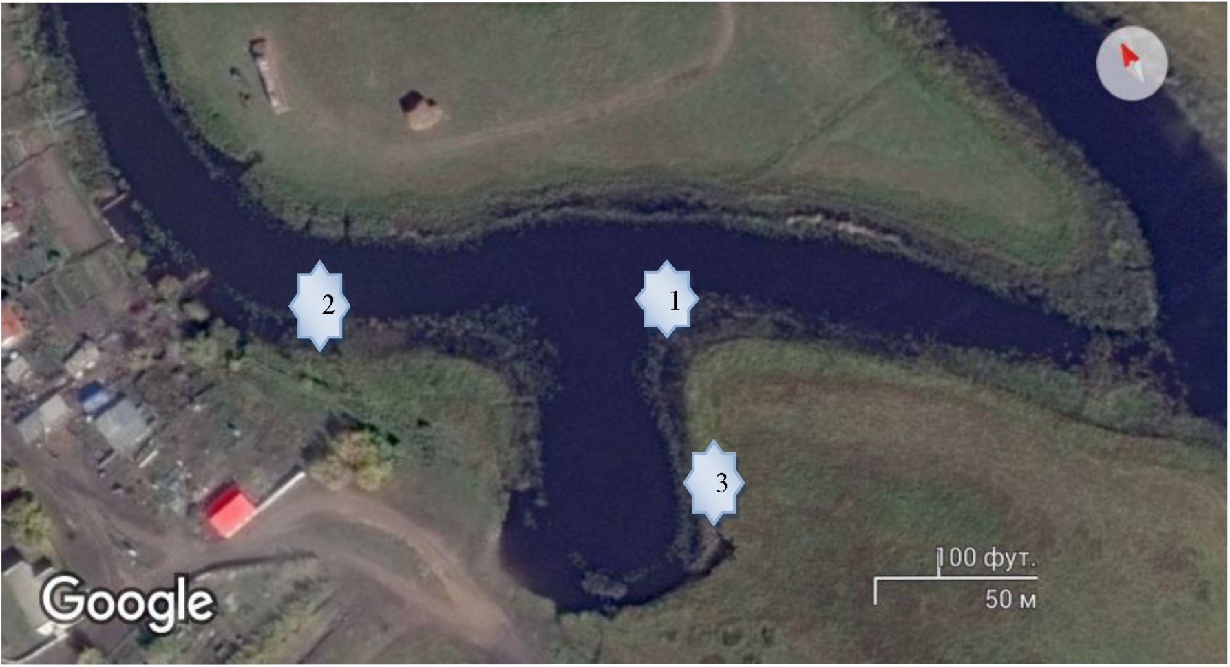 Характеристика зоопланктона старицы вишневской кызылжарского района