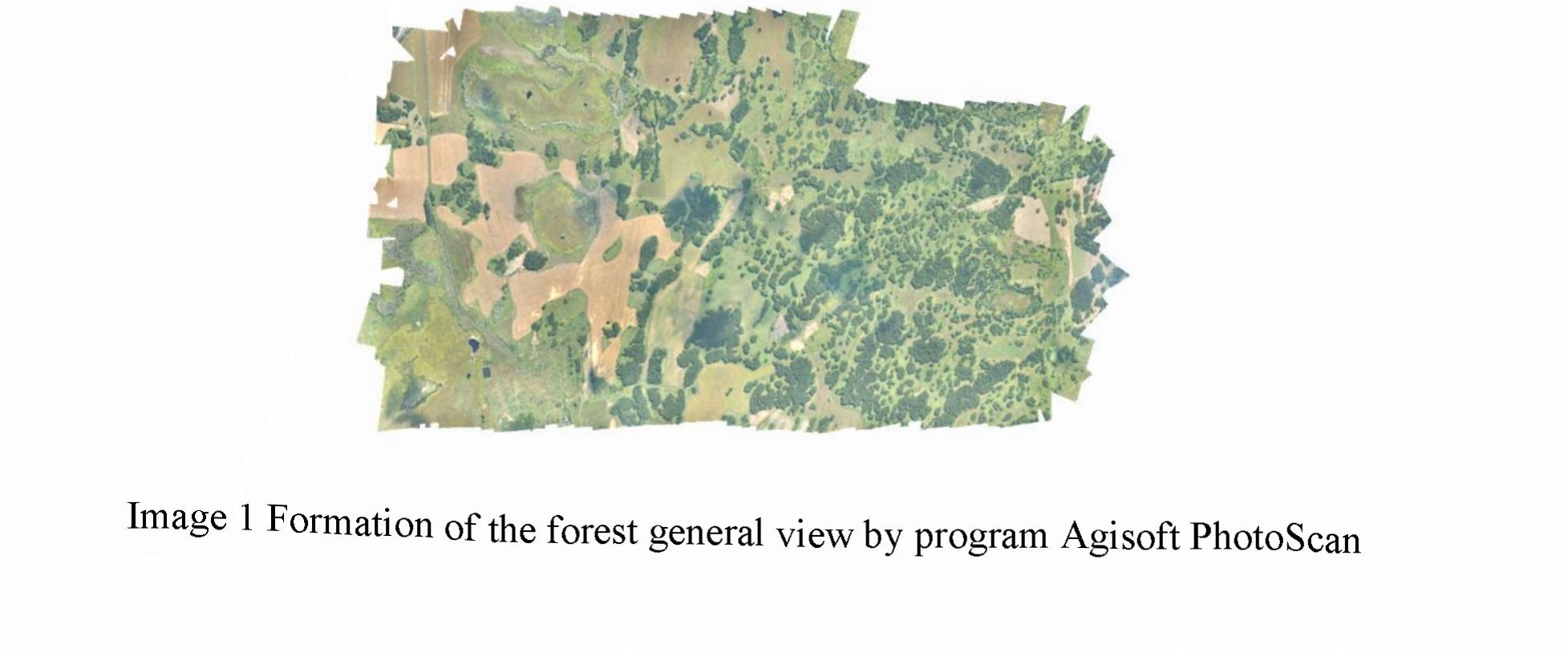 Using of photometric analysis то determine the quantitative indicators of northern kazakhstan mature forests