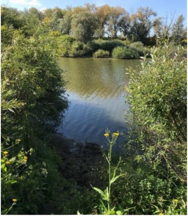 Изучение пойменной растительности реки есиль на территории СКО