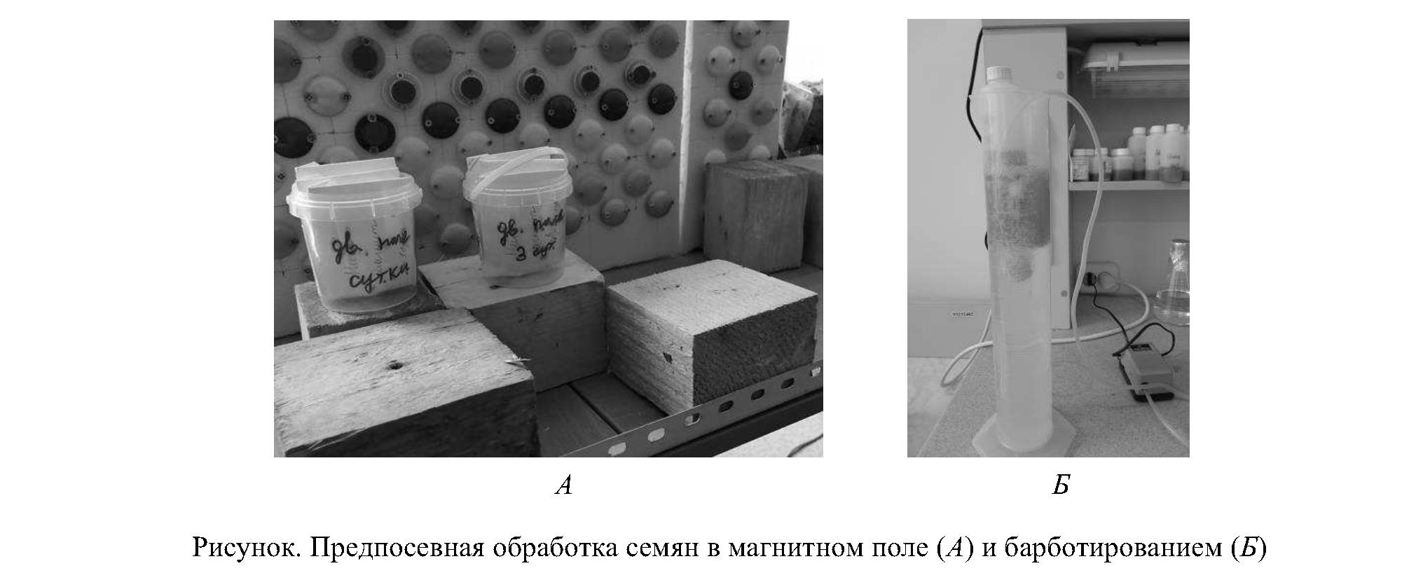 Влияние физических методов предпосевной обработки на всхожесть семян некоторых лекарственных растений