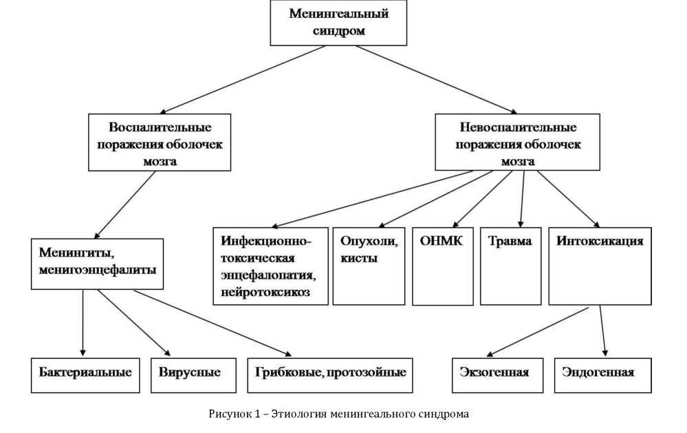Дифференциальная диагностика заболеваний с менингеальным синдромом
