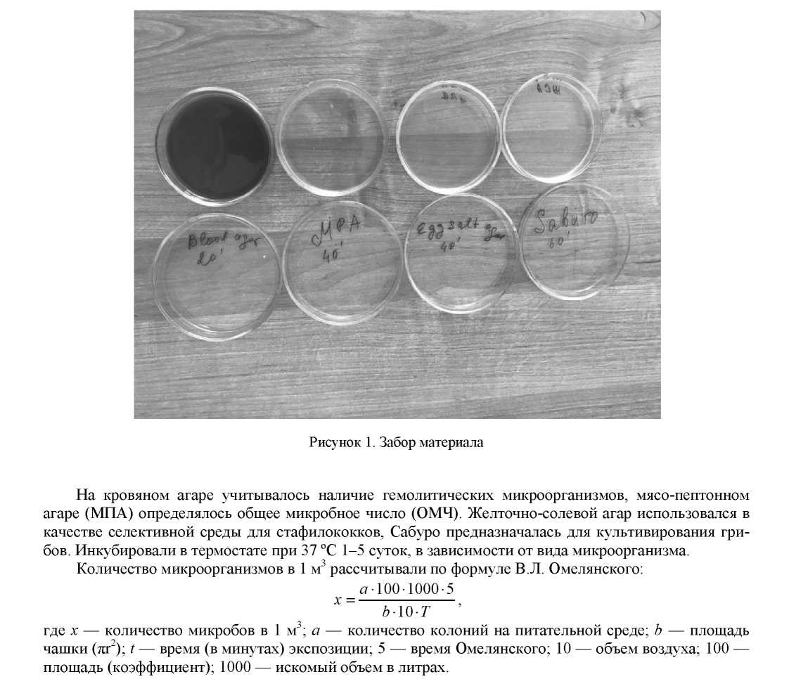 Микробиологический мониторинг воздуха учебных помещений — основа профилактики воздушно-капельных инфекций среди учащихся