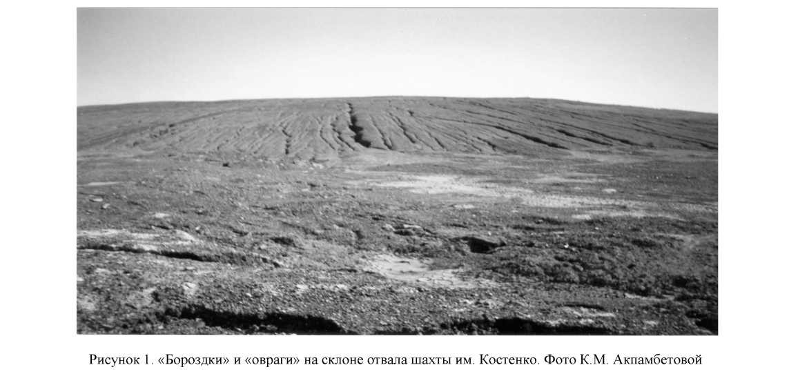 Геоморфологические аспекты использования земель, нарушенных в ходе горной добычи