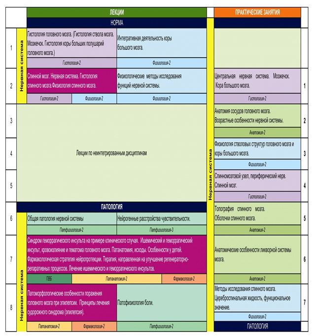 Расписание по интегрированному обучению для студентов 3 курса, специальность «Общая медицина» (ГОСО 2006),  модуль «Нервная система»