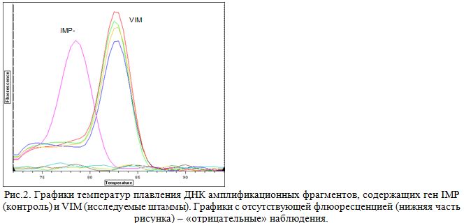 Графики температур плавления ДНК амплификационных фрагментов, содержащих ген IMP (контроль) и VIM (исследуемые штаммы). Графики с отсутствующей флюоресценцией (нижняя часть рисунка) – «отрицательные» наблюдения.
