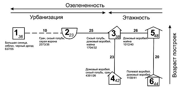 Пространственно-временная структура населения птиц города Бишкека (Кыргызстан)