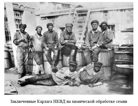 Заключенные Карлага НКВД на химической обработке семян