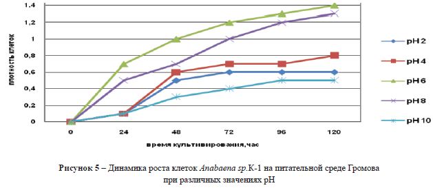 Динамика роста клеток Anabaena питательной среде Громова при различных значениях рН