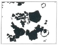 Электронномикроскопический снимок аглопорита (увеличение х 22500), полученного на основе шихты: