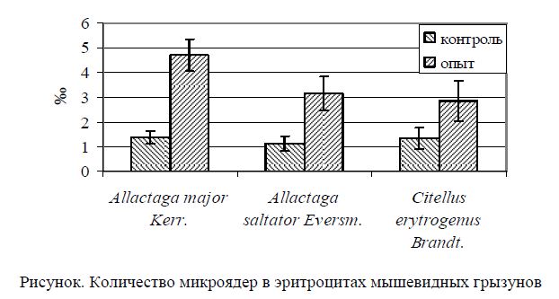 Количество микроядер в эритроцитах мышевидных грызунов