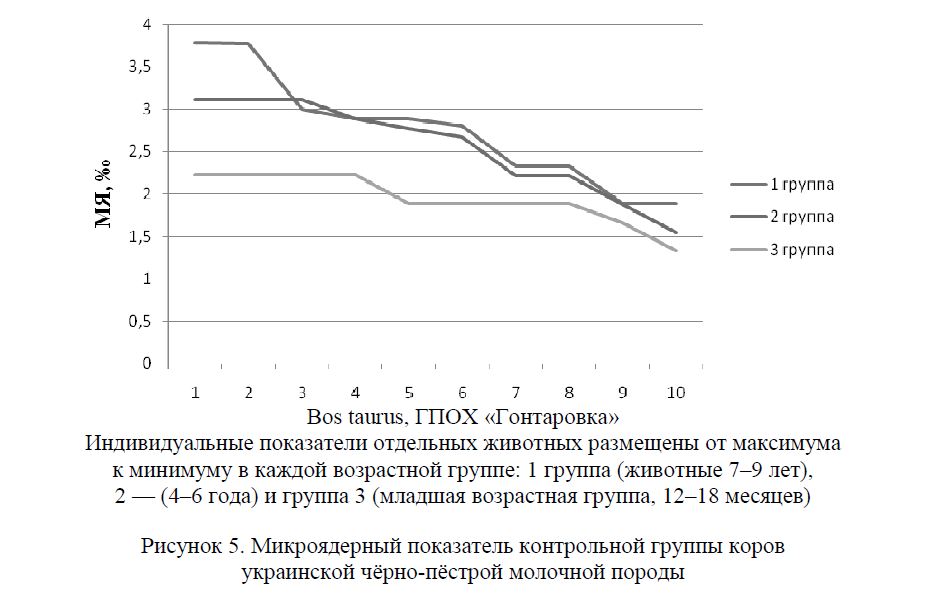 Микроядерный показатель контрольной группы коров украинской чёрно-пёстрой молочной породы