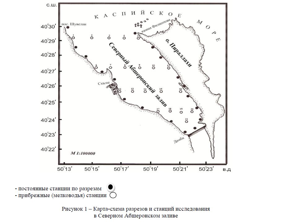 Карта-схема разрезов и станций исследования в Северном Абшеронском заливе