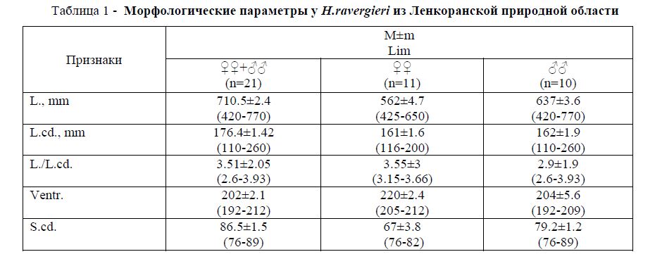 Морфологические параметры у H.ravergieri из Ленкоранской природной области