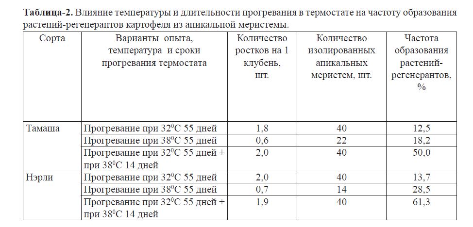 Влияние температуры и длительности прогревания в термостате на частоту образования растений-регенерантов картофеля из апикальной меристемы.