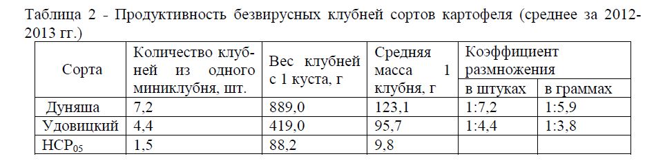Продуктивность безвирусных клубней сортов картофеля (среднее за 2012-2013 гг.)