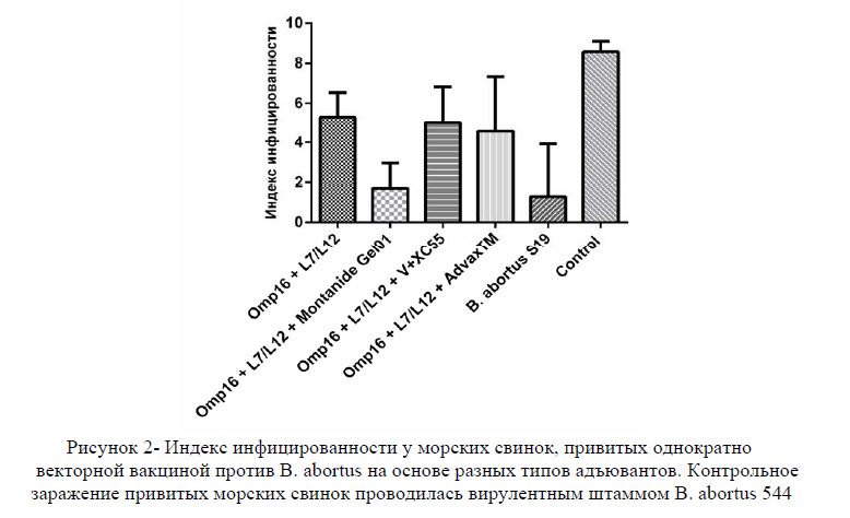 Индекс инфицированности у морских свинок, привитых однократно векторной вакциной против B. abortus на основе разных типов адъювантов