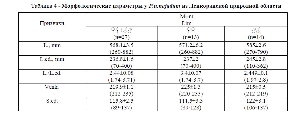 Морфологические параметры у P.n.najadum из Ленкоранской природной области