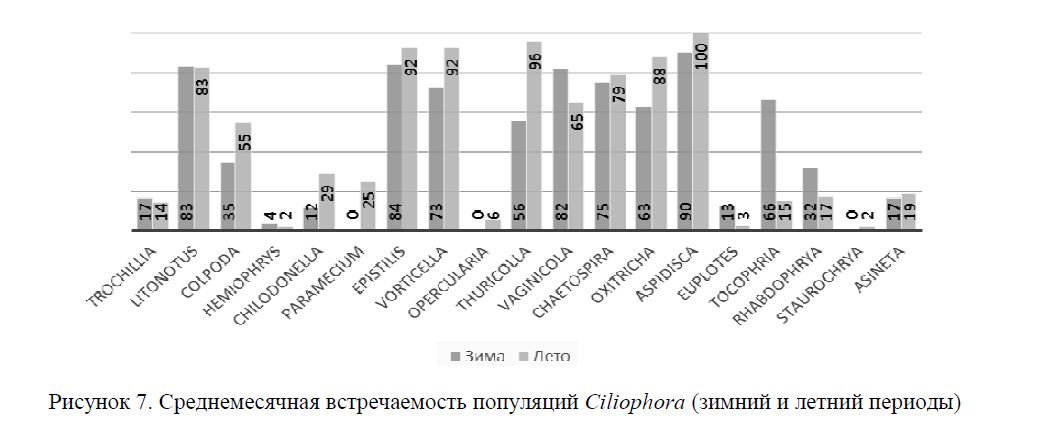 Среднемесячная встречаемость популяций Ciliophora (зимний и летний периоды) 