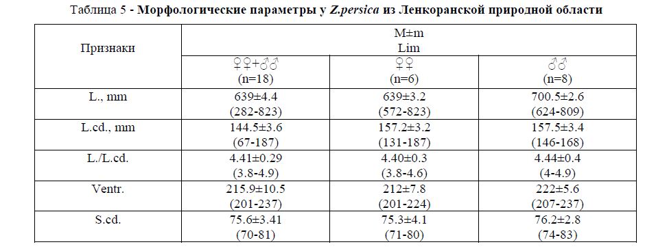 Морфологические параметры у Z.persica из Ленкоранской природной области 