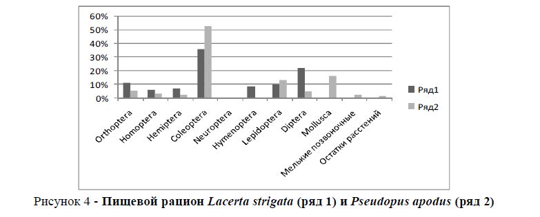 Пищевой рацион Lacerta strigata (ряд 1) и Pseudopus apodus (ряд 2) 