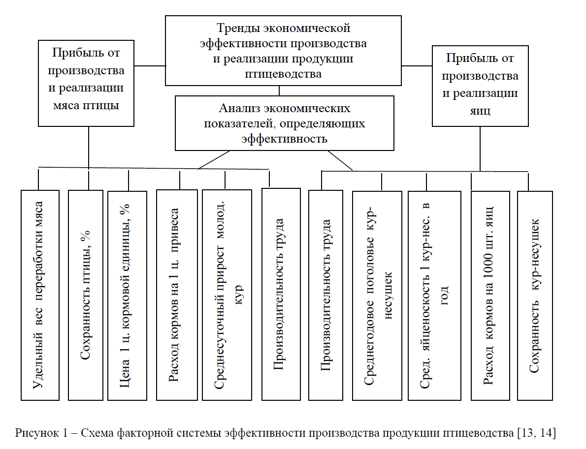 Экономический анализ состояния и развития птицеводства в республике Казахстан